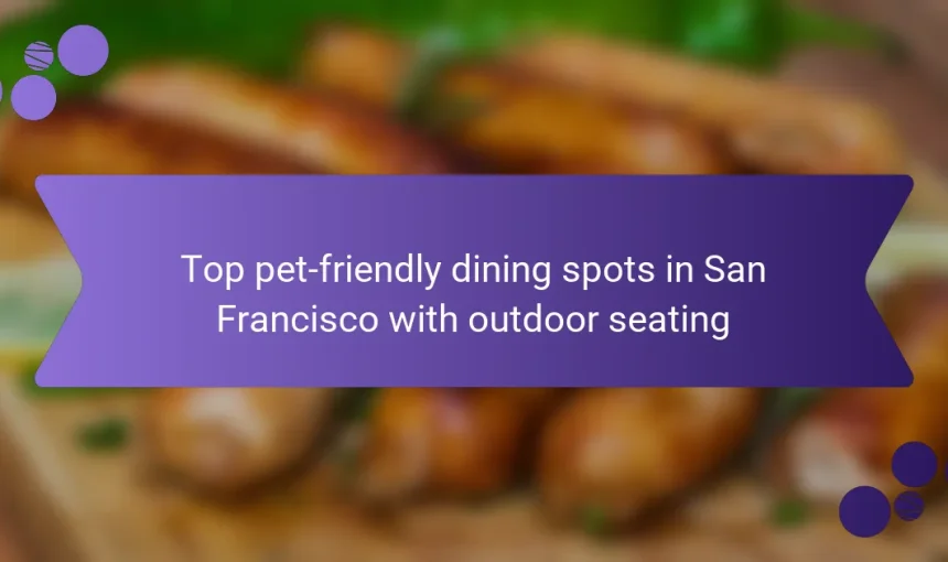 Top pet-friendly dining spots in San Francisco with outdoor seating