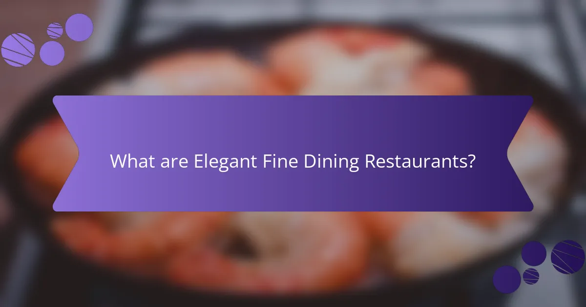 What are Elegant Fine Dining Restaurants?