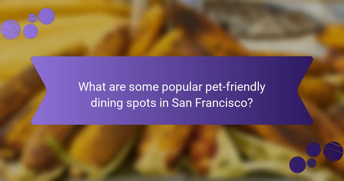 What are some popular pet-friendly dining spots in San Francisco?