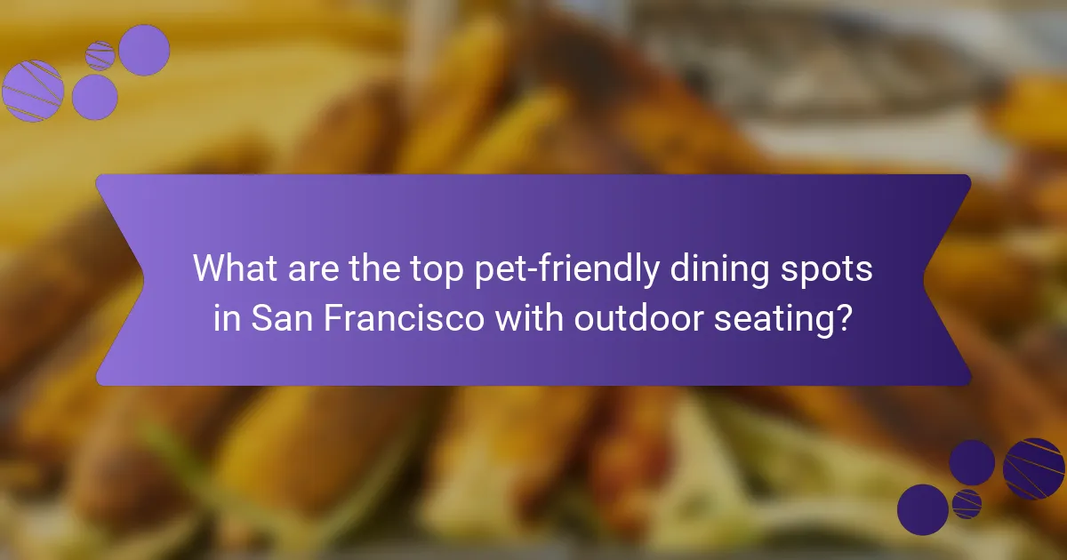 What are the top pet-friendly dining spots in San Francisco with outdoor seating?